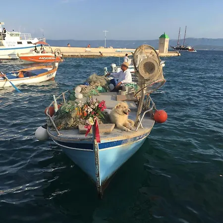 In 볼
